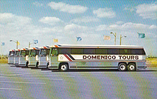 Domenico Tours Bus Bayonne New Jersey