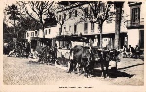 Madeira Funchal Spain Cab Rank Bull Carts Real Photo Vintage Postcard JF686349