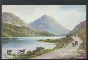 Ireland Postcard - By The Irish Lakes and Fells - Art Colour   RS20543