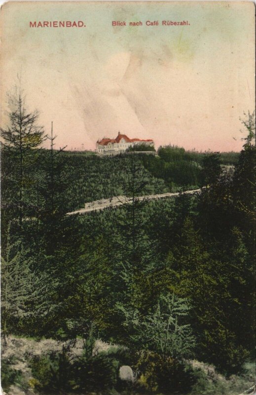 PC CZECOSLOVAKIA MARIENBAD 42 VINTAGE POSTCARDS (L3641)