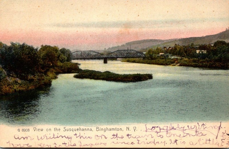 New York Binghamton View On The Susquehanna River 1907 Rotograph