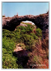 Postcard OK Natural Bridge Cedar Canyon Freedom Oklahoma Continental View Card 