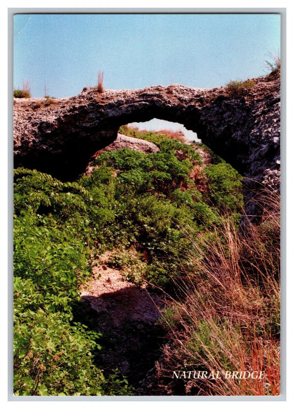 Postcard OK Natural Bridge Cedar Canyon Freedom Oklahoma Continental View Card 