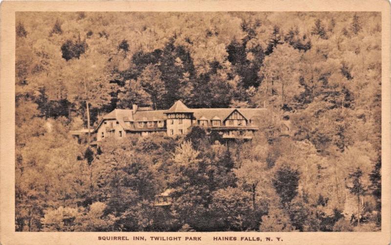 HAINES FALLS NEW YORK~SQUIRREL INN-TWILIGHT PARK-ALBERTYPE PHOTO POSTCARD 1910s