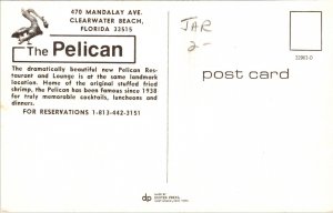 Pelican Clearwater Beach Florida FL Multiview Postcard VTG UNP Dexter Vintage 
