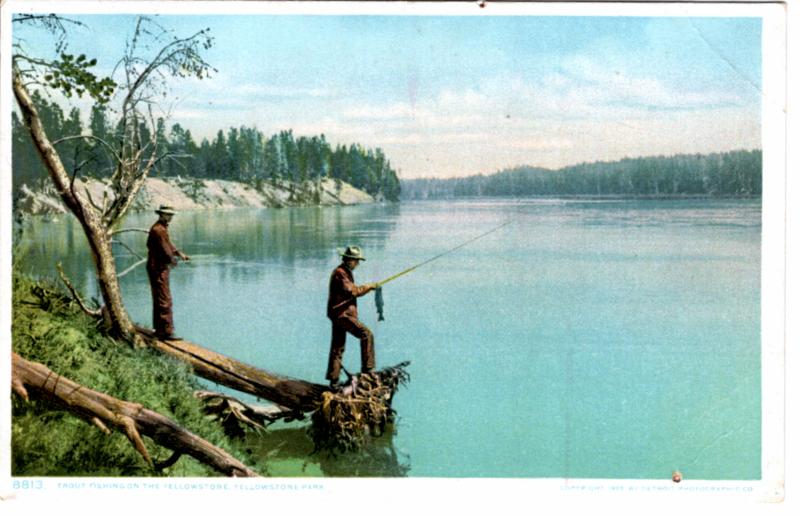 YELLOWSTONE, DETROIT PUBLISHING, TROUT FISHING ON THE YELLOWSTONE, DIVIDED BACK