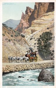Stagecoach Gardiner River Canyon Yellowstone National Park Phostint postcard