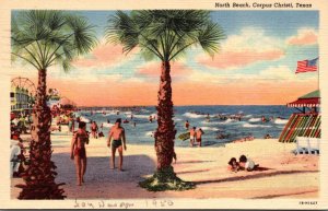 Texas Corpus Christi North Beach 1950 Curteich
