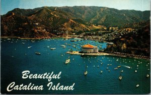 Vtg 1950s Aerial View of Catalina Island and Avalon Bay California CA Postcard