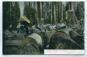 Felling Timber Logging Donkey Engine Oregon 1909 postcard