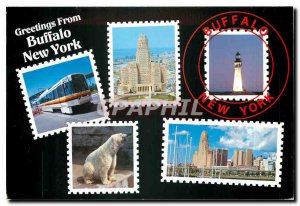 Modern Postcard Greetings from Buffalo New York Ours Blanc