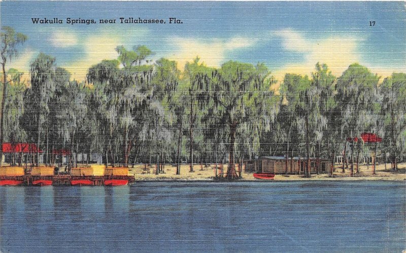 Tallahassee Florida 1940s Postcard Wakulla Springs