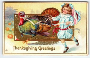 Thanksgiving Postcard Victorian Girl Walking Giant Turkey Pumpkins Stecher 1912