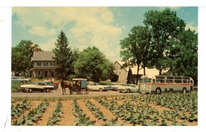 PA - Lancaster. Amish Farm & Exhibit