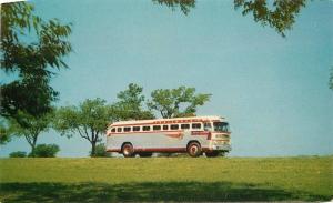 Bus Advertising 1950s Continental Trailways postcard 8379