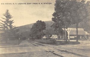 Big Indian, NY Looking East from RR Station Reproduction Railroad Related Unu...