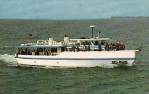 The Dolphin Deep Sea Fishing Boat Tarpon Springs Florida