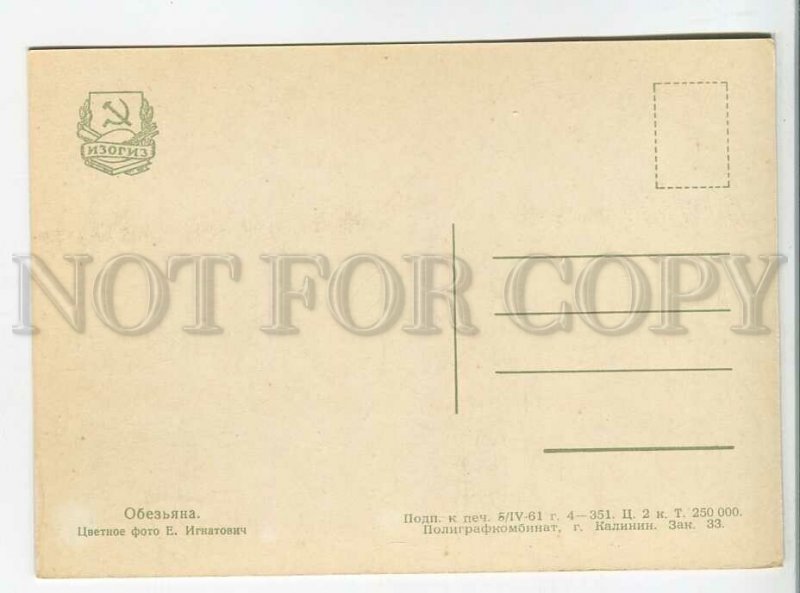 195077 Russia Moscow ZOO monkey old postcard