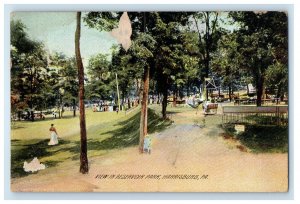 1909 View In Reservoir Park Harrisburg Pennsylvania PA Posted Antique Postcard 