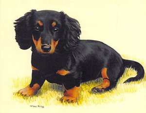 Approx. Size: 2.5 x 3 Dachshunds, (Modern 1999 Card)  Late 1800's Tradecard N...