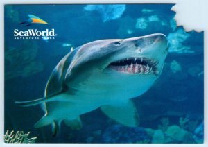 Shark Bite SEA WORLD Adventure Park Terrors of the Deep c1990s 4x6 Postcard