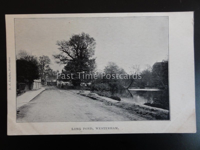 Kent WESTERHAM Long Pond c1905 by T.A. Hughes of Westerham