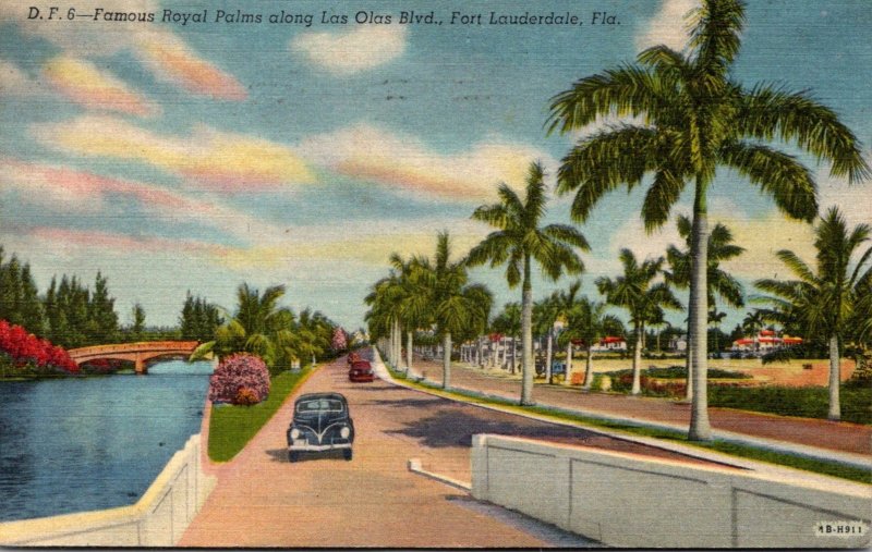 Florida Fort Lauderdale Royal Palms Along Las Olas Boulevard 1955 Curteich