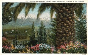 Vintage Postcard 1932 Orange Groves and Snow Capped Mountains Winter California