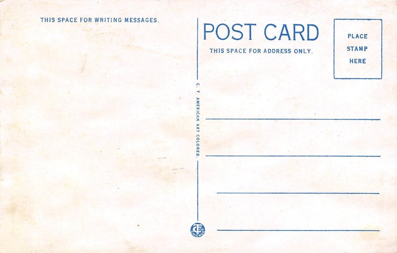 Court House Waterloo Iowa 1920s postcard