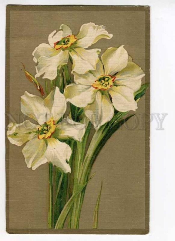 279740 Narcissus Flowers Bouquet by C. KLEIN Vintage GOM #1320