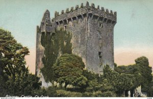 Blarney Castle , Co. Cork , Ireland , 00-10s