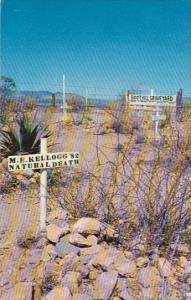 Arizona Tombstone Graves Of M E Kellogg