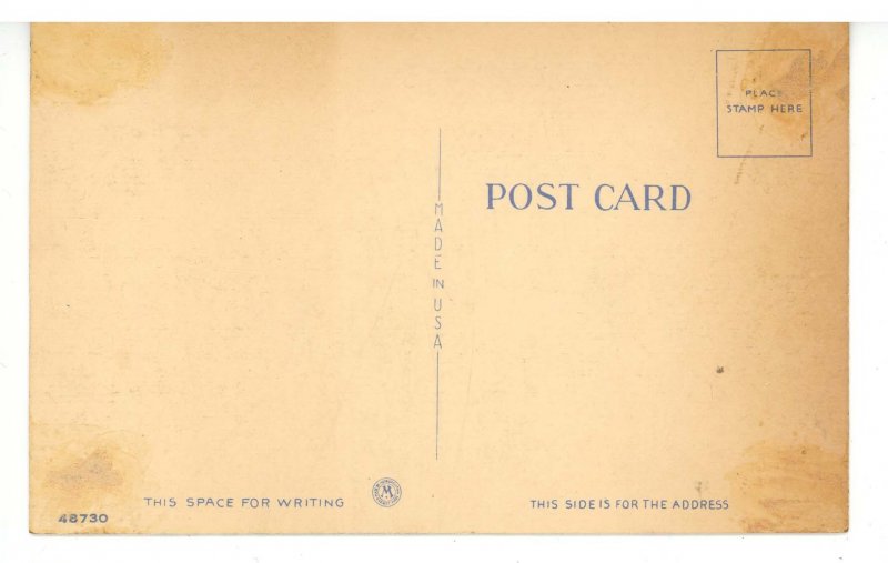 FL - St. Petersburg. The Coliseum & Shuffleboard Courts