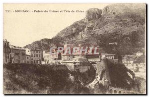 Monaco Old Postcard Palace of the Prince and dog head