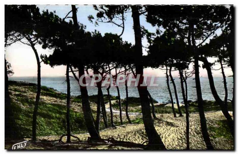 Modern Postcard St. Jean de Monts sea through the forest