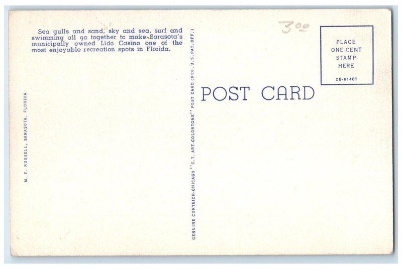 c1940 Sea Gulls Sarasota Lido Gulf Mexico Sarasota Florida FL Unposted Postcard