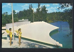 Weeki Wachee, Florida/FL Postcard, Spring Of Live Mermaids