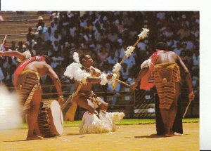 South Africa Postcard - Tribal Dancing - Johannesburg - Ref 17681A