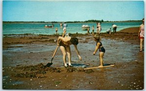 M-18943 Clam digging at Green Park Prince Edward Island Canada
