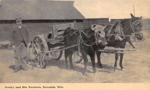 Necedah Wisconsin Soccty and His Trotters Horse Wagon Vintage Postcard AA60298 
