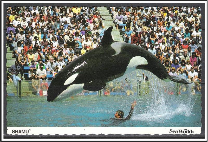 United States - Sea World Shamu Killer Whale - [MX-089]