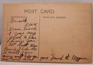 postcard Christmas Greetings - felt holly