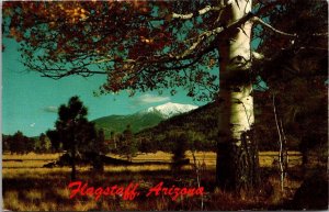 Arizona Flagstaff San Francisco Peaks 1978