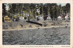 Newton Junction New Hampshire Country Pond Wilders Grove Antique Postcard K11238
