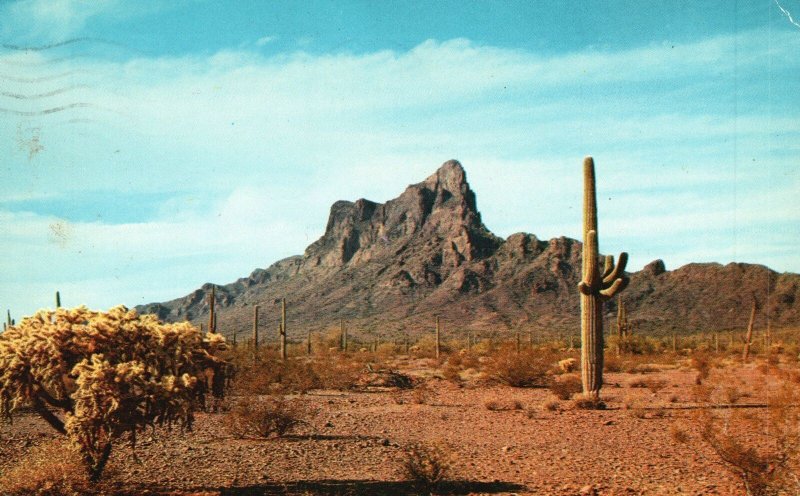 Postcard 1957 Picacho Peak Rugged Landmark Between Phoenix & Tucson Arizona AZ