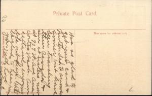 Union Steamship Co RMS Marama c1910 Postcard jrf