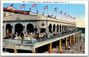 Concert Hall Solarium Ocean City New Jersey NJ Entertainment Area Postcard