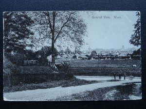 Hertfordshire WARE Village a Panoramic View c1904 Postcard by G. Price & Son