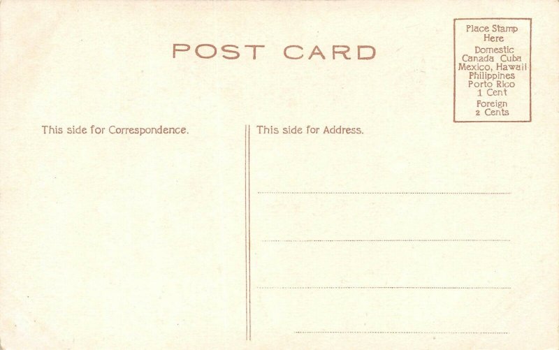 LPG22 State Capitol Atlanta  Georgia Postcard  