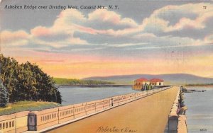 Ashokan Bridge over Dividing Weir